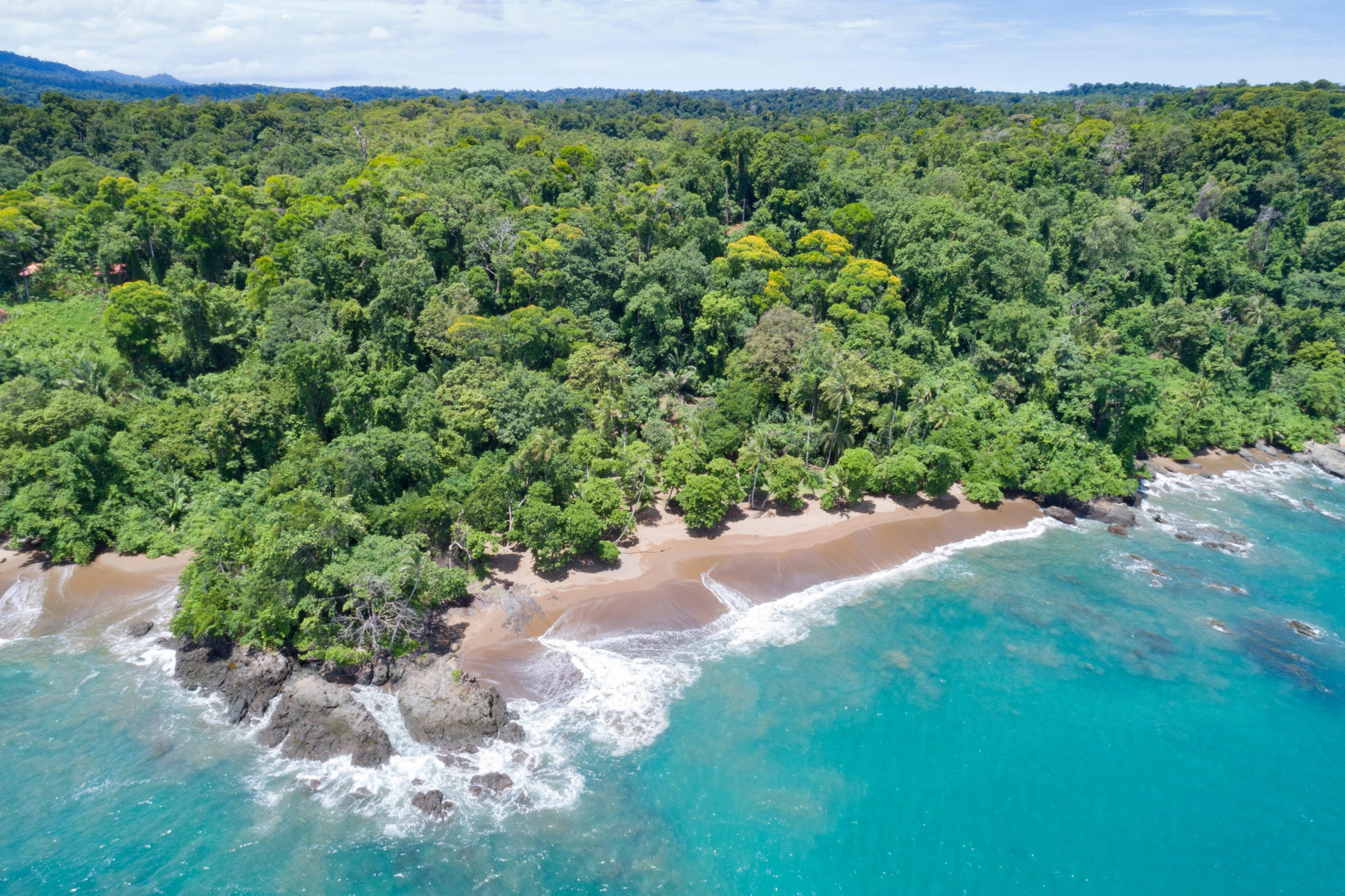 Corcovado_National_Park[1].webp